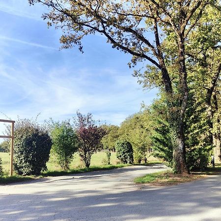 Bungalow Cosy Equipe La Boissiere-de-Montaigu Eksteriør bilde
